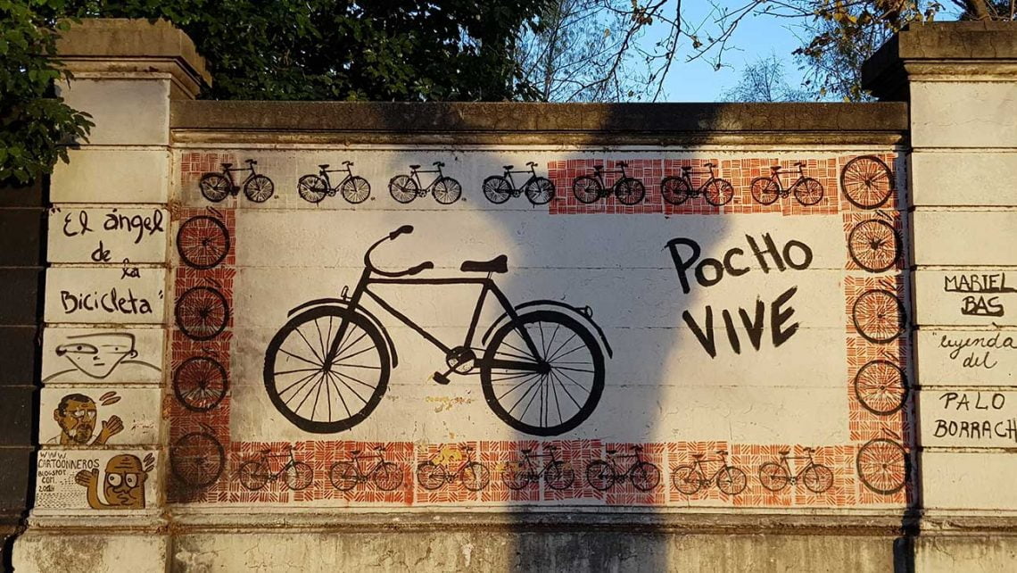  pocho_vive2 
