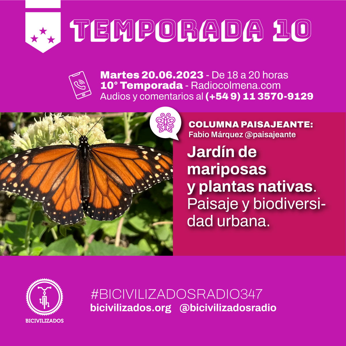 Jardin de mariposas por Paisajeante Fabio Márquez