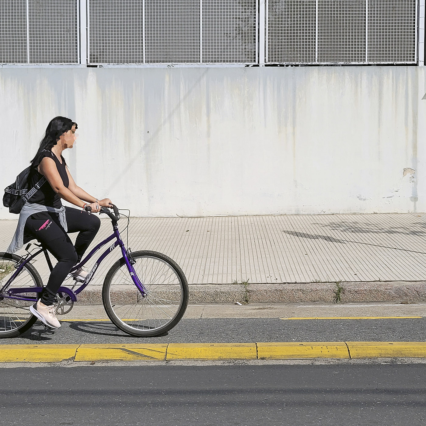 bicisendas y ciclovías en caba por bicivilizados