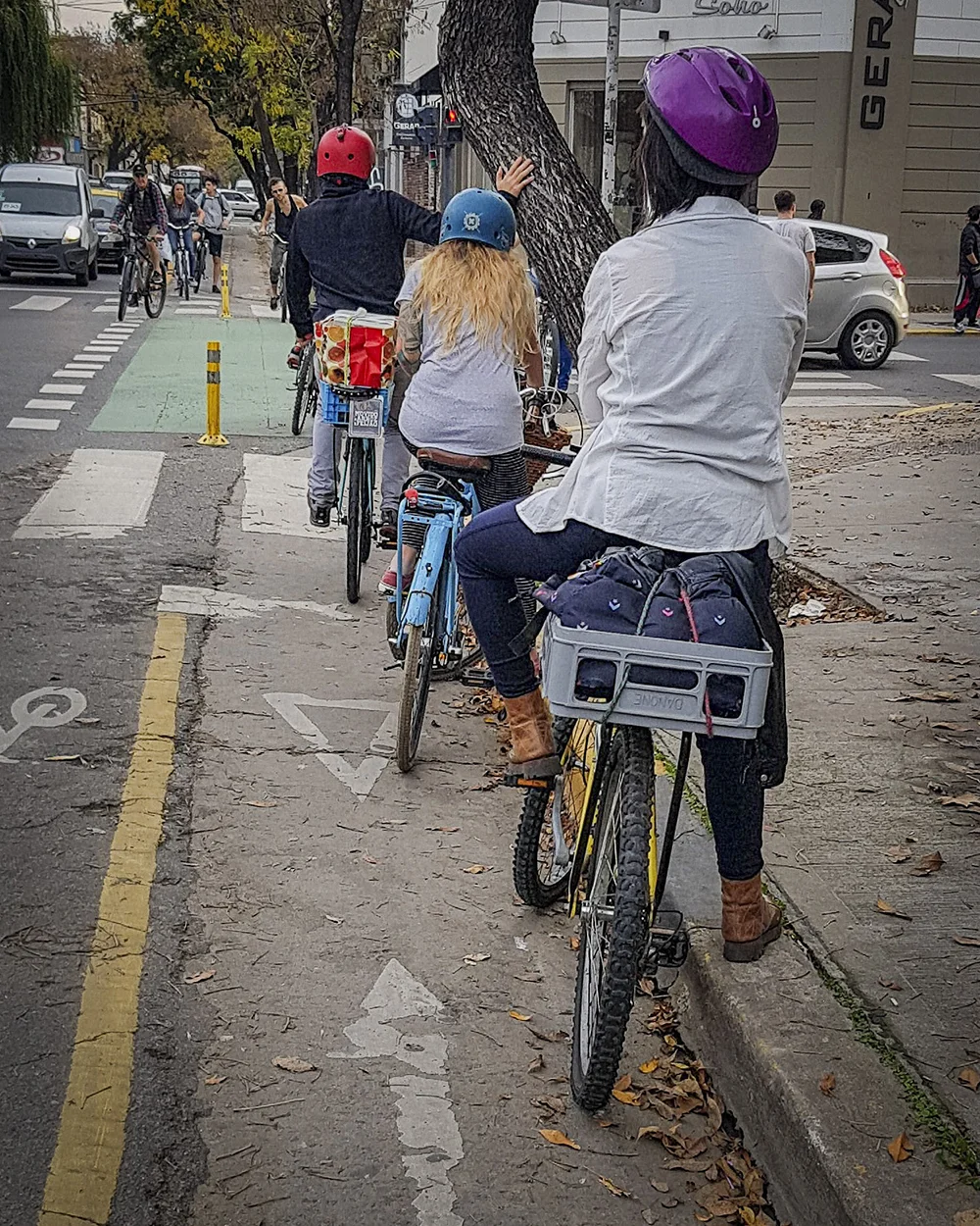 Se ven al menos 7 ciclistas sobre ciclovías